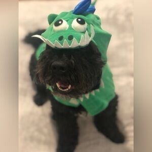 Dog dinosaur costume